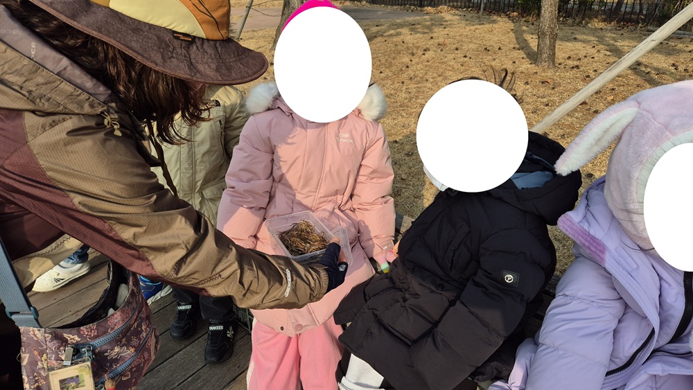 사랑반(6세) 특색교육-숲 생태놀이(12월-1)